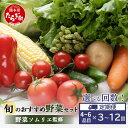 【ふるさと納税】回数選べる 定期便 ≪ 野菜ソムリエ 監修 ≫ 旬の おすすめ 野菜 セット 4〜6品 (1〜2名様向け) 3回/6回/12回 定期便 野菜 獲...