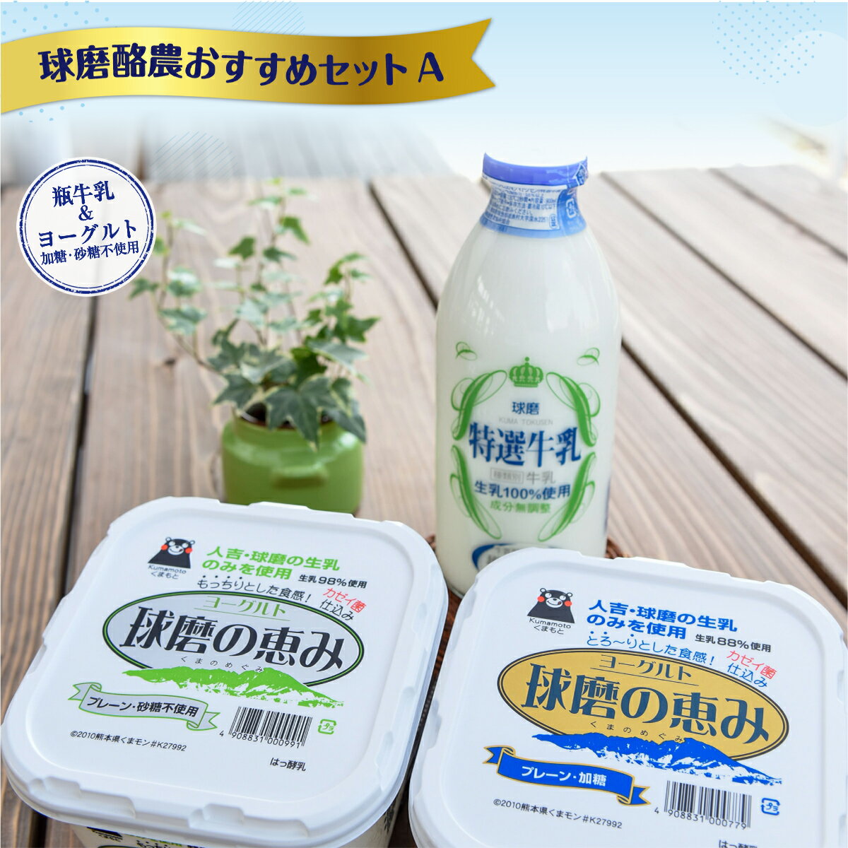 【ふるさと納税】球磨酪農おすすめセットA 瓶牛乳&ヨーグルト加糖・砂糖不使用／送料無料 ヨーグルト 乳製品 スイーツ 牛乳 ミルク 乳酸菌 善玉菌 健康 美容 腸活 健康 JZ004