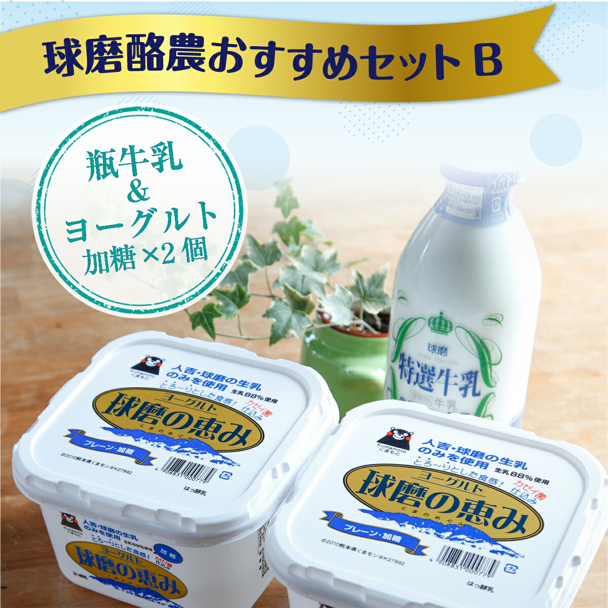 【ふるさと納税】球磨酪農おすすめセットB （瓶牛乳&ヨーグルト加糖×2個）／送料無料 ヨーグルト 乳製品 スイーツ 乳酸菌 善玉菌 牛乳 ミルク 健康 美容 腸活 健康 JZ005