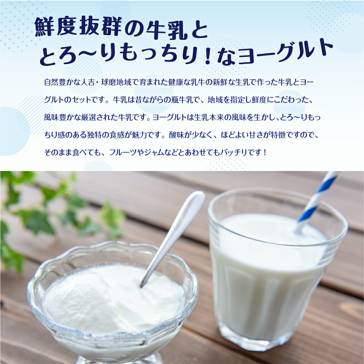 【ふるさと納税】球磨酪農おすすめセットB （瓶牛乳&ヨーグルト加糖×2個）／送料無料 ヨーグルト 乳製品 スイーツ 乳酸菌 善玉菌 牛乳 ミルク 健康 美容 腸活 健康 JZ005