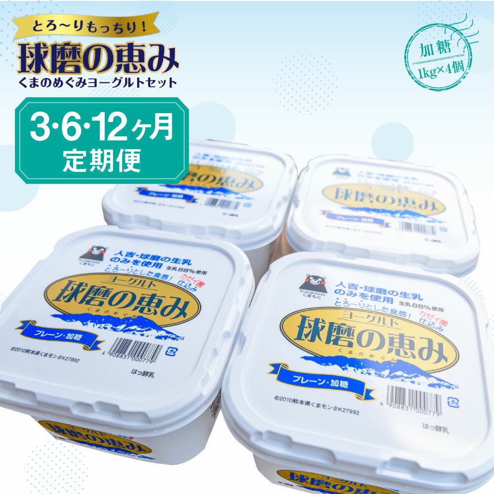 [3・6・12ヶ月定期便]球磨の恵みヨーグルトセット 送料無料 ヨーグルト 乳製品 乳酸菌 健康 免疫力 加糖1kg×4個