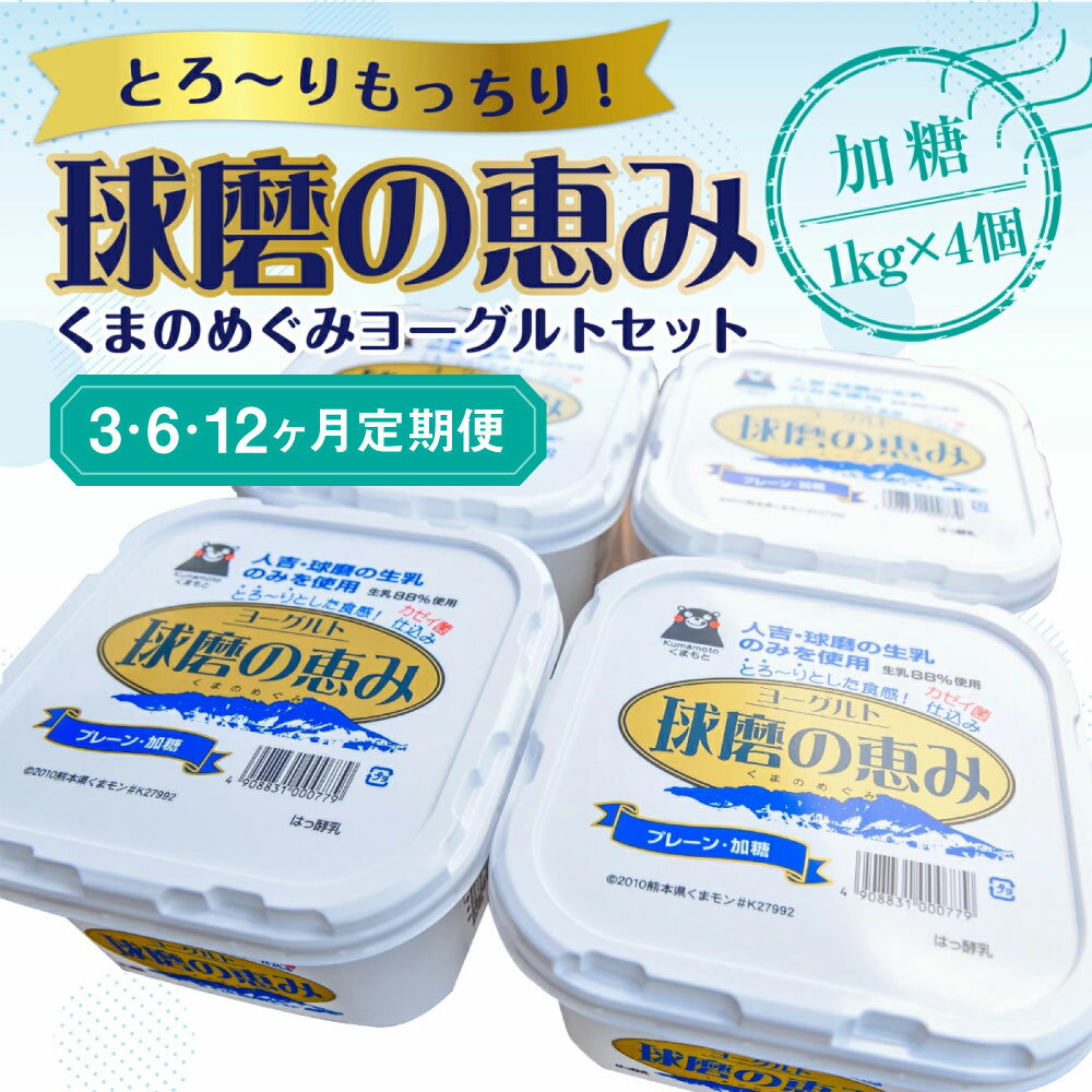 【ふるさと納税】【3・6・12ヶ月定期便】球磨の恵みヨーグルトセット 送料無料 ヨーグルト 乳製品 乳酸菌 健康 免疫力 加糖1kg×4個