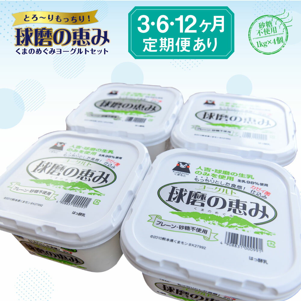 球磨の恵みヨーグルトセット 砂糖不使用1kg×4個 定期便 3回 6回 12回 ヨーグルト 乳製品 スイーツ 乳酸菌 善玉菌 健康 美容 腸活 健康 送料無料