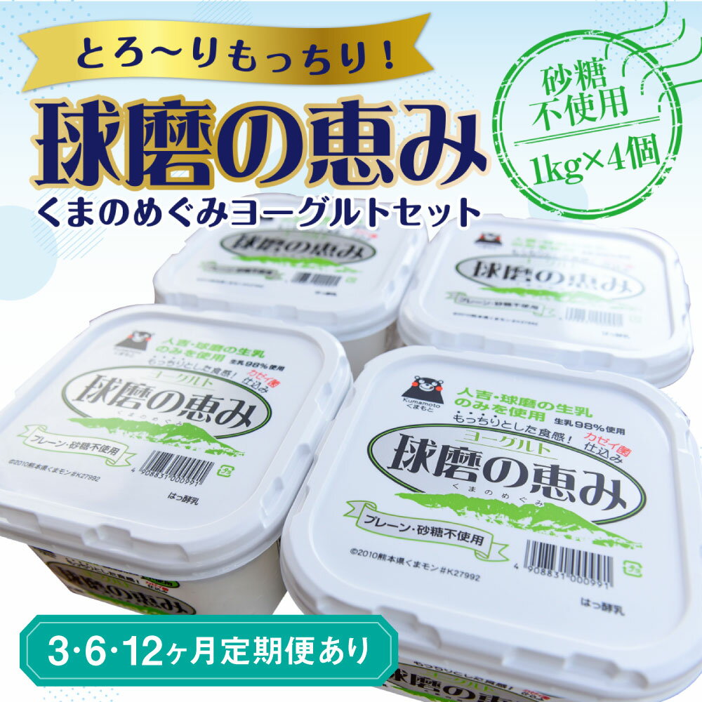 【ふるさと納税】球磨の恵みヨーグルトセット 砂糖不使用1kg×4個 定期便 3回 6回 12回 ヨーグルト 乳製品 スイーツ 乳酸菌 善玉菌 健康 美容 腸活 健康 送料無料