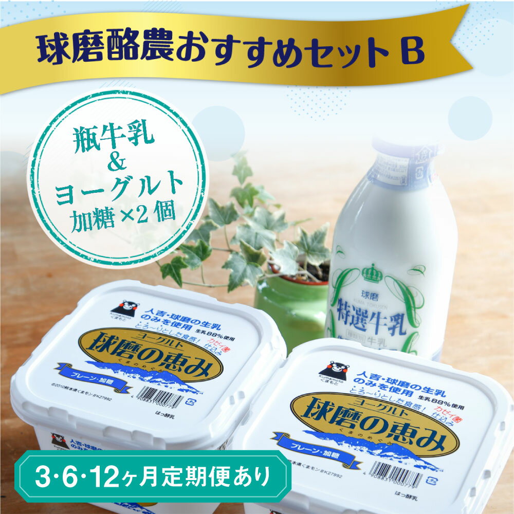 【ふるさと納税】球磨酪農おすすめセットB 瓶牛乳&ヨーグルト加糖×2個 定期便 3回 6回 12回 ヨーグルト 乳製品 スイーツ 乳酸菌 善玉菌 牛乳 ミルク 健康 美容 腸活 健康 送料無料