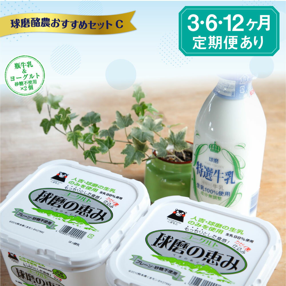 【ふるさと納税】球磨酪農おすすめセットC 瓶牛乳&ヨーグルト砂糖不使用×2個 定期便 3回 6回 12回 ヨ...