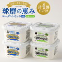 【ふるさと納税】とろ~りもっちり!球磨の恵みヨーグルトセット 送料無料 乳製品 ヨーグルト 乳酸菌 健康 免疫力 加糖・砂糖不使用各1kgx2個 計4個