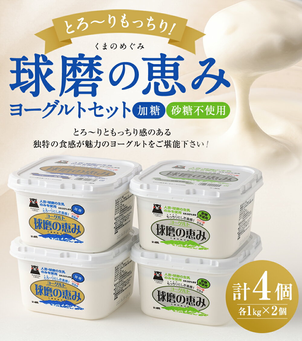 【ふるさと納税】とろ～りもっちり!球磨の恵みヨーグルトセット 送料無料 乳製品 ヨーグルト 乳酸菌 健康 免疫力 加糖・砂糖不使用各1kgx2個 計4個