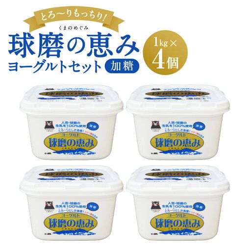 【ふるさと納税】球磨の恵みヨーグルトセット 送料無料 ヨーグルト 乳製品 乳酸菌 健康 免疫力 加糖1kg×4個 【ふるさと納税】球磨の恵みヨーグルトセット 送料無料 ヨーグルト 乳製品 乳酸菌 健康 免疫力 加糖1kg×4個