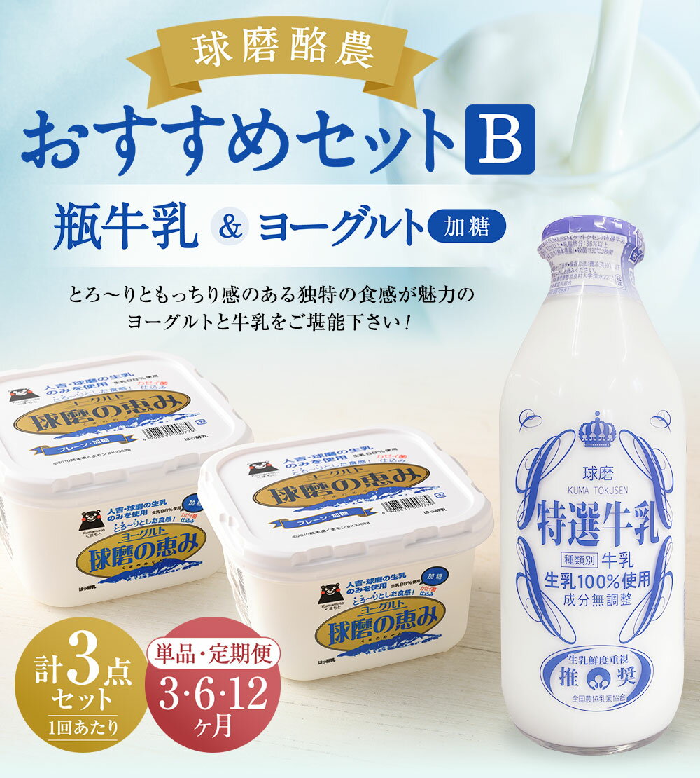【ふるさと納税】球磨酪農おすすめセットB 瓶牛乳&ヨーグルト加糖×2個 定期便 3回 6回 12回 ヨーグルト 乳製品 スイーツ 乳酸菌 善玉菌 牛乳 ミルク 健康 美容 腸活 健康 送料無料