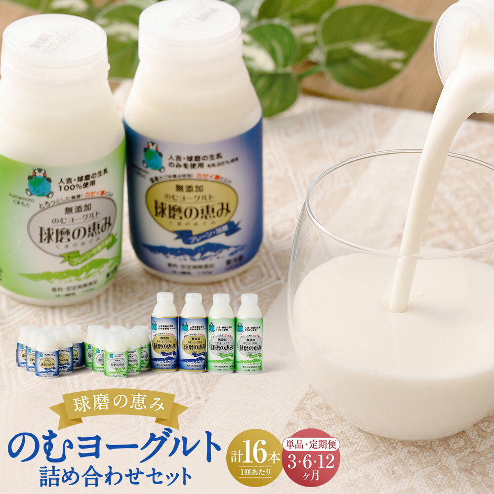 球磨の恵みのむヨーグルト詰め合わせセット 定期便 3回 6回 12回 送料無料 のむヨーグルト 乳製品 乳酸菌 善玉菌 健康 美容 腸活 健康
