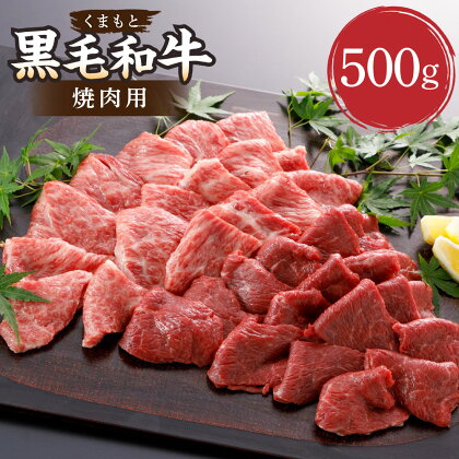 くまもと黒毛和牛 焼肉用 約500g やきにく BBQ 焼き肉 肉 お肉 牛肉 黒毛和牛 和牛 ブランド牛 九州 国産 熊本県 湯前町 送料無料