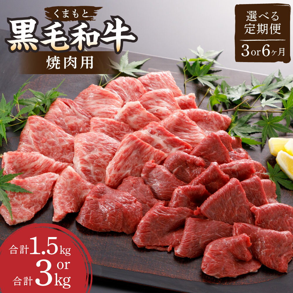 [選べる定期便]くまもと黒毛和牛 焼肉用 約500g 計1.5kg〜3kg 3ヶ月 6ヶ月 定期便 やきにく BBQ 焼き肉 肉 お肉 牛肉 黒毛和牛 和牛 ブランド牛 3回 6回 九州 国産 熊本県 湯前町 送料無料