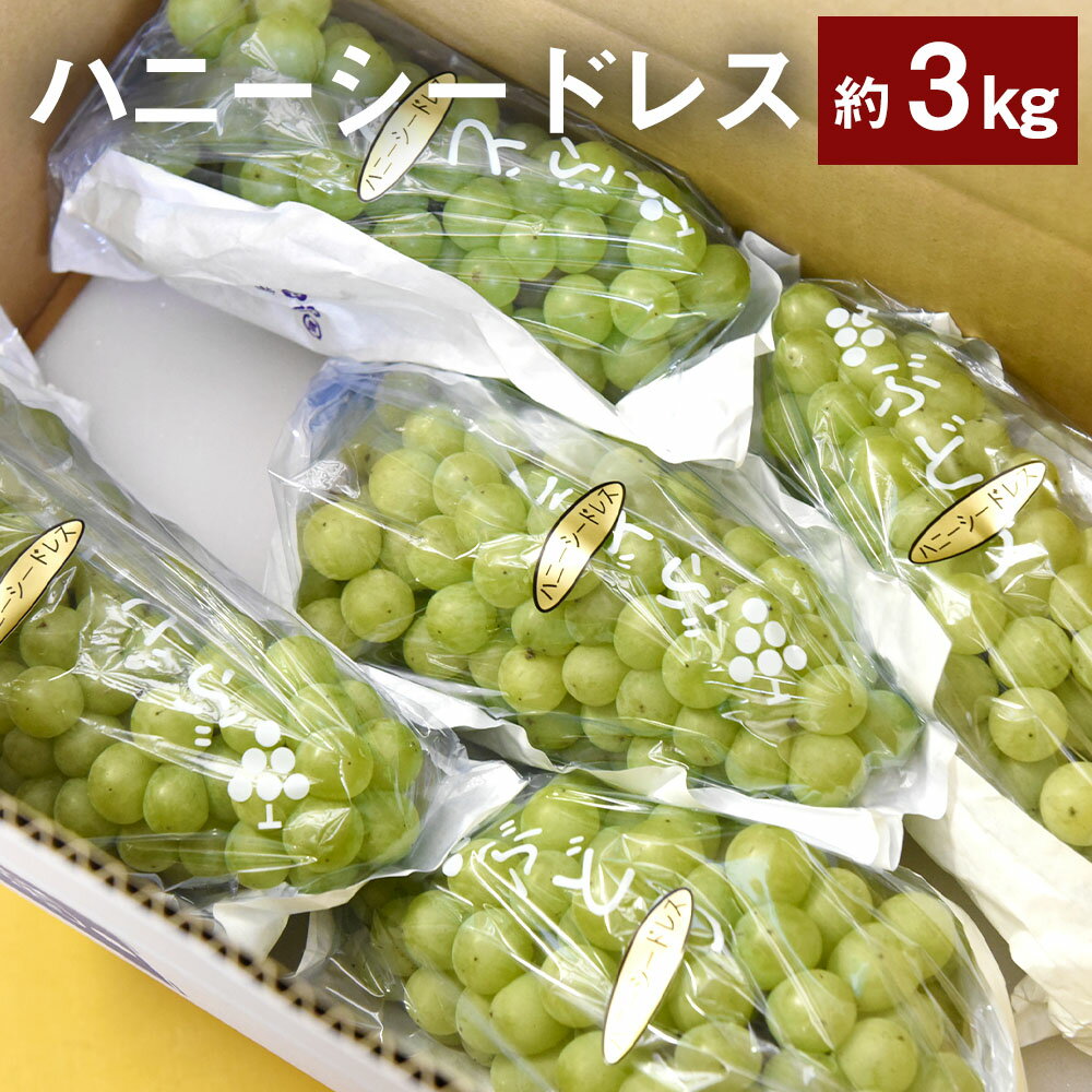 【ふるさと納税】【2023年8月下旬発送開始】熊本県 湯前町産 爽やかな甘さ! ハニーシードレス 約3kg 白ぶどう 白葡萄 葡萄 フルーツ 果物 旬 湯前町 送料無料のサムネイル