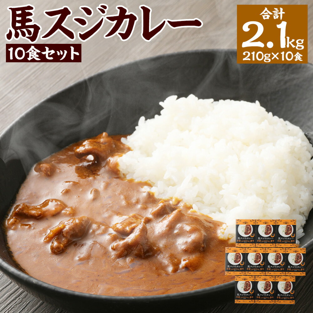 馬スジのカレー 10食セット 計2.1kg 210g×10 馬肉 馬スジ カレー レトルト 熊本県 湯前町 送料無料