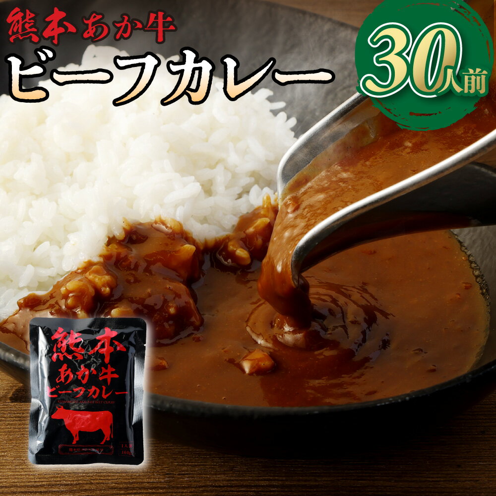 6位! 口コミ数「0件」評価「0」熊本県産 あか牛使用 くまもと あか牛 ビーフカレー 30人前 計4800g 4.8kg 160g×30袋 肉 牛 国産牛 肉加工品 カレー･･･ 