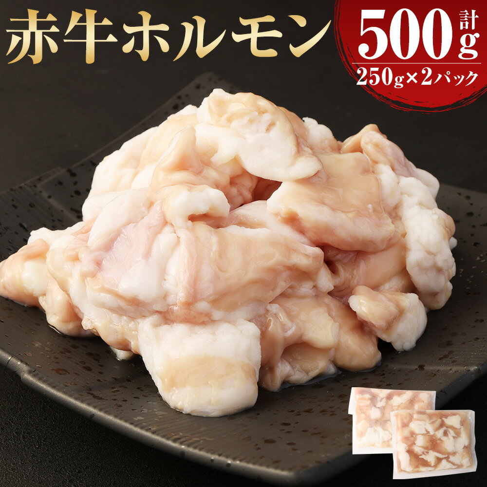 赤牛 ホルモン 約500g(約250g×2パック)あか牛 牛ホルモン シロホルモン 小腸 牛肉 和牛 肉 お肉 もつ鍋 もつ煮込み 焼肉 焼き肉 やきにく 冷凍 お取り寄せグルメ 熊本県 湯前町 送料無料