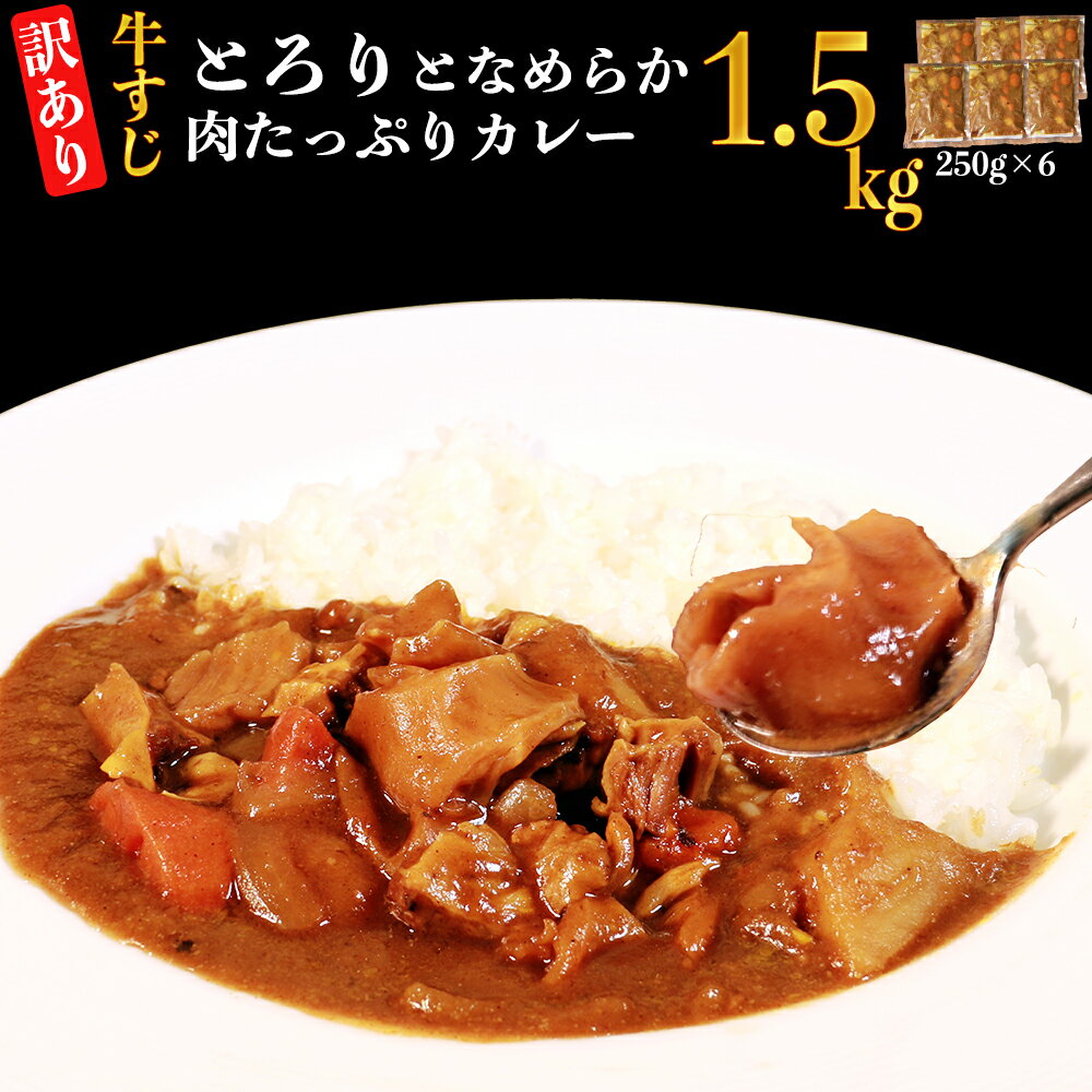 5位! 口コミ数「0件」評価「0」【訳あり】具だくさん やわらか牛すじカレー 約250g×6パック 計約1.5kg 冷凍 湯煎 レンジ 惣菜 簡単 調理 ランチ 熊本県 湯前･･･ 