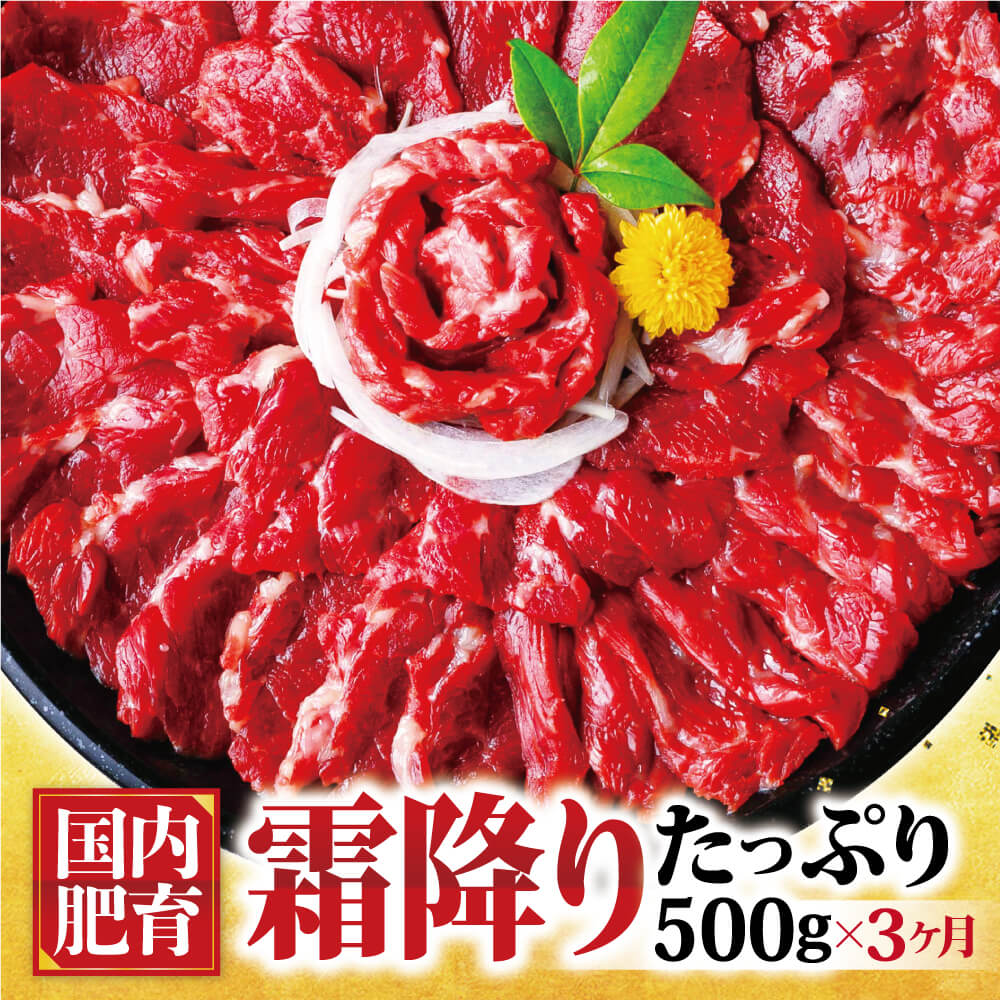 【ふるさと納税】【3ヶ月定期便】 熊本馬刺し 霜降り たっぷり 約500g 約50g×10パック 専用醤油付き 馬刺し 中トロ 馬 馬肉 刺し身 国..