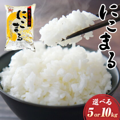 【令和5年産】にこまる 5kg～10kg 精米 お米 白米 米 九州 国産 熊本県 湯前町 送料無料