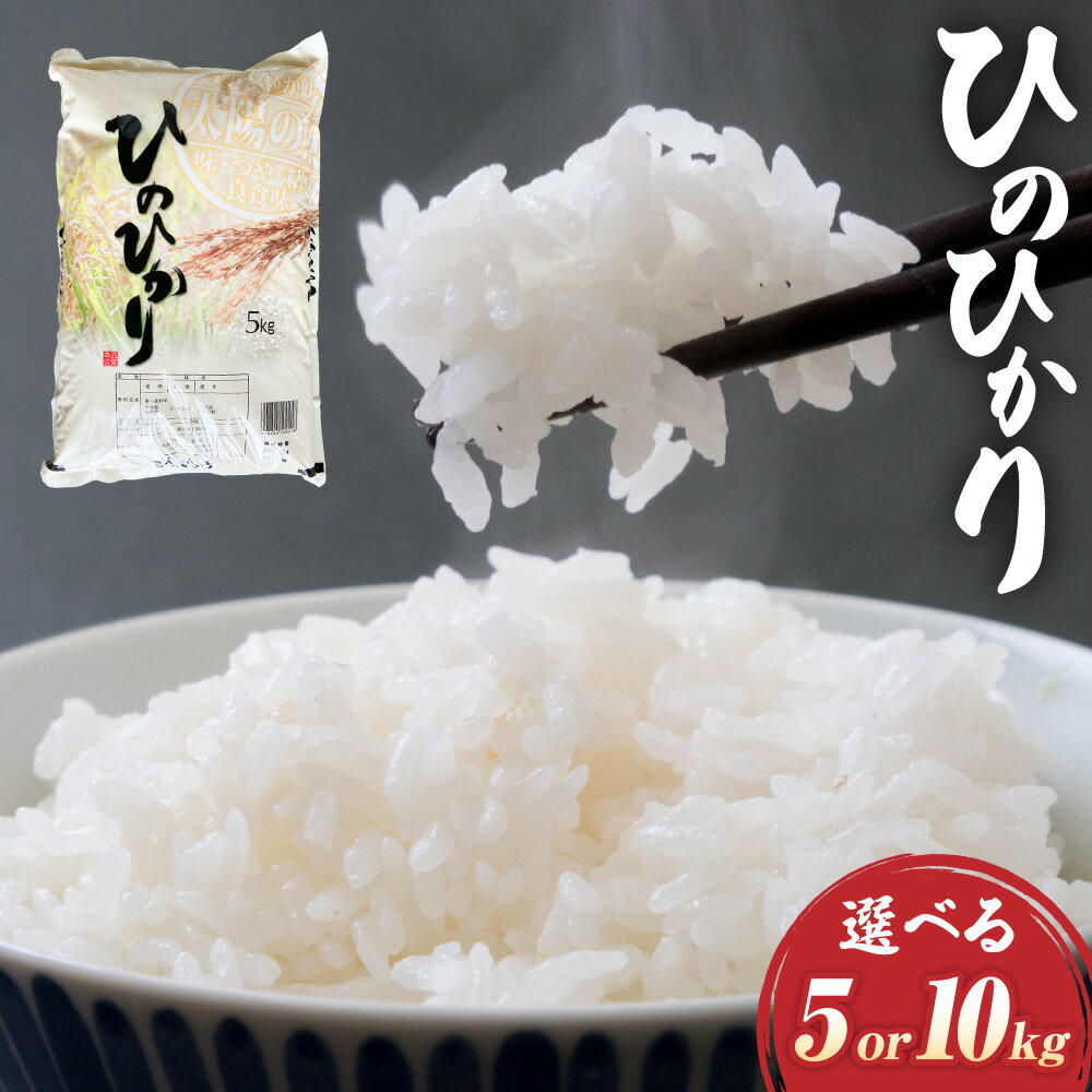 【令和5年産】ヒノヒカリ 5kg～10kg 精米 お米 白米 米 九州 国産 熊本県 湯前町 送料無料