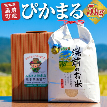 数量限定！令和5年産 湯前産ぴかまる 送料無料 おこめ 白米 精米 国産 熊本 5kg