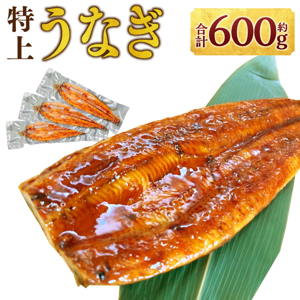 【ふるさと納税】特上うなぎ 200g×3尾 合計約600g タレ付き ウナギ 鰻 国産 かば焼き 蒲焼 冷凍 熊本...