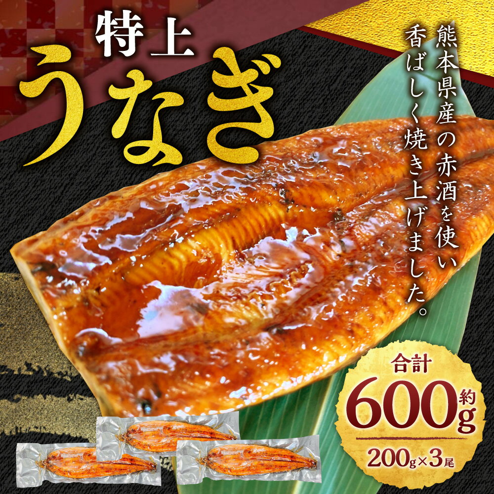 【ふるさと納税】特上うなぎ 200g×3尾 合計約600g タレ付き ウナギ 鰻 国産 かば焼き 蒲焼 冷凍 熊本県 湯前町 送料無料