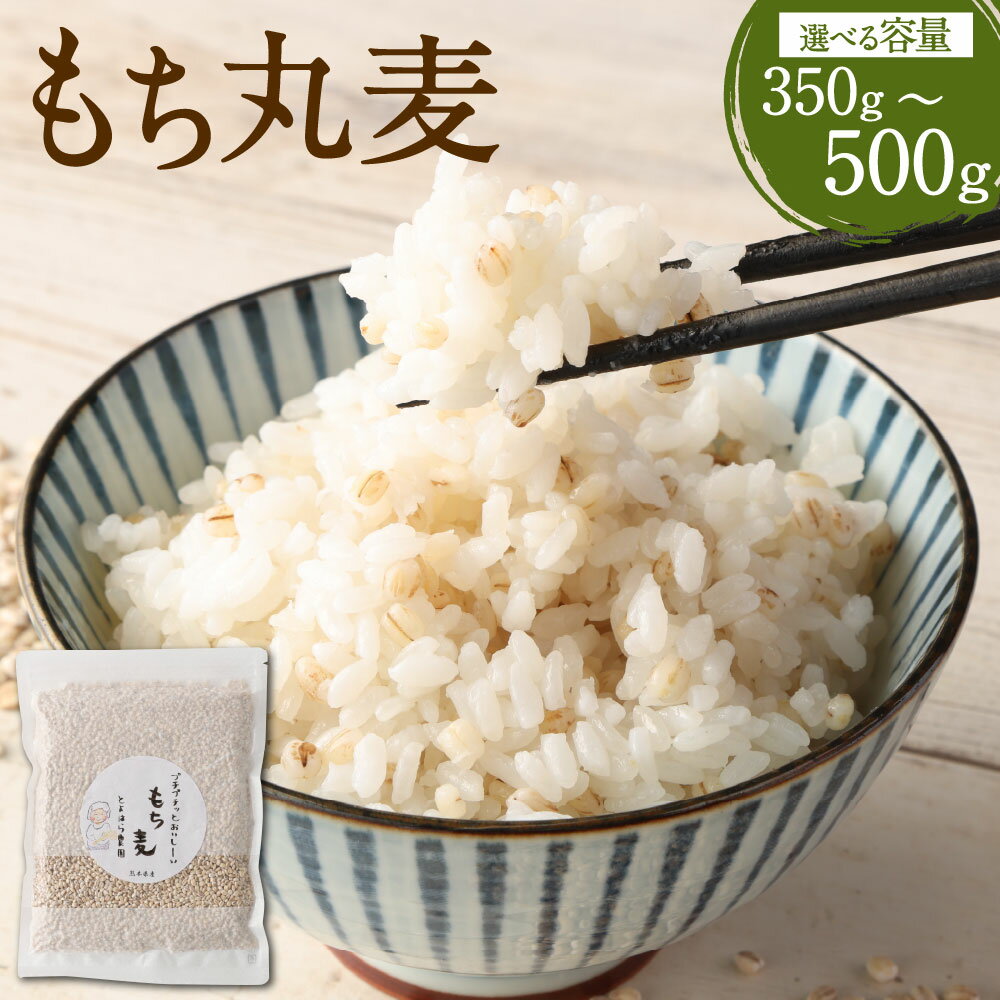 【ふるさと納税】【選べる容量】ご飯にもサラダにも！ もち丸麦 350g／500g 麦 もち麦 とよはら農園 雑..
