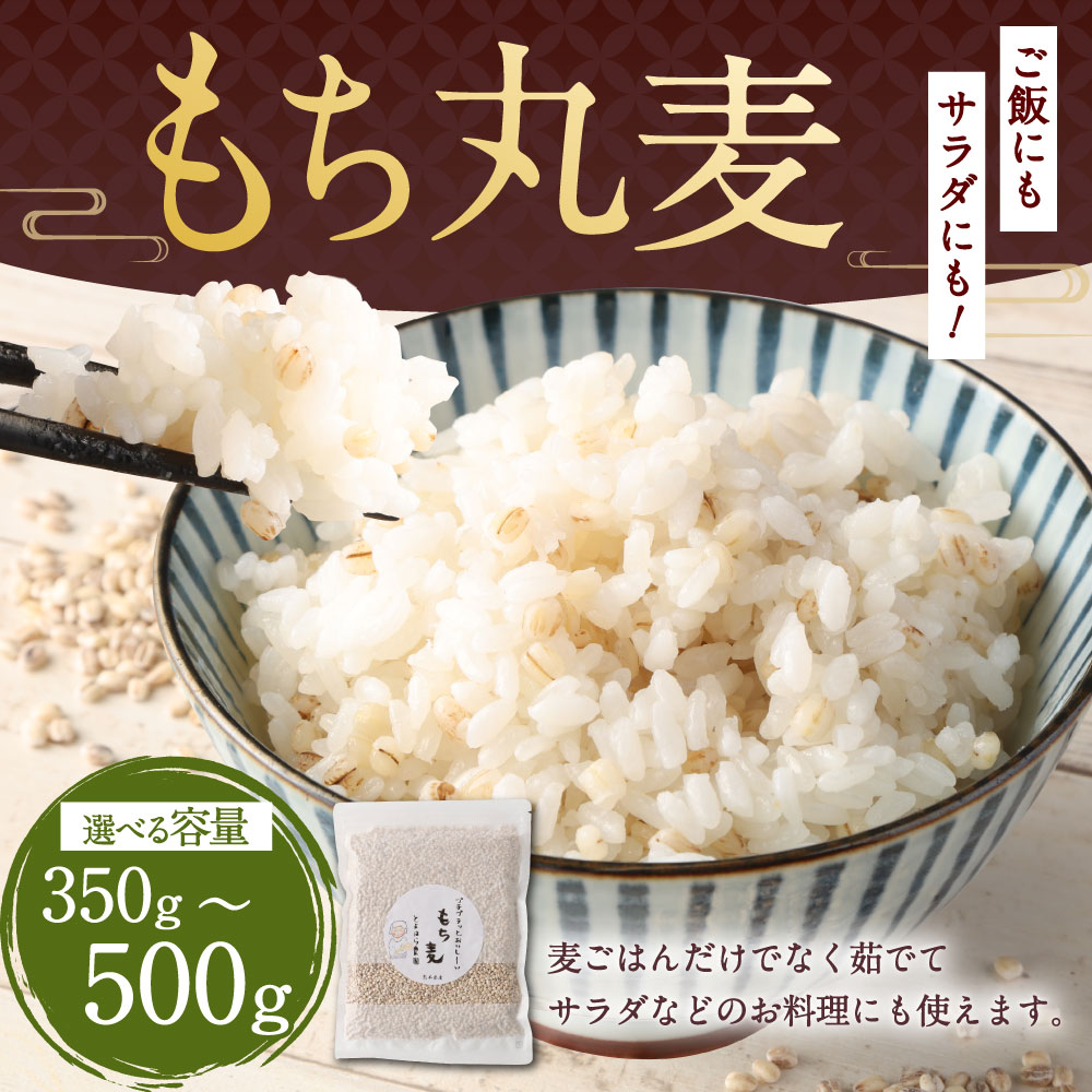 【ふるさと納税】【選べる容量】ご飯にもサラダにも！ もち丸麦 350g／500g 麦 もち麦 とよはら農園 雑穀 熊本県産 九州産 国産 熊本県 湯前町 送料無料