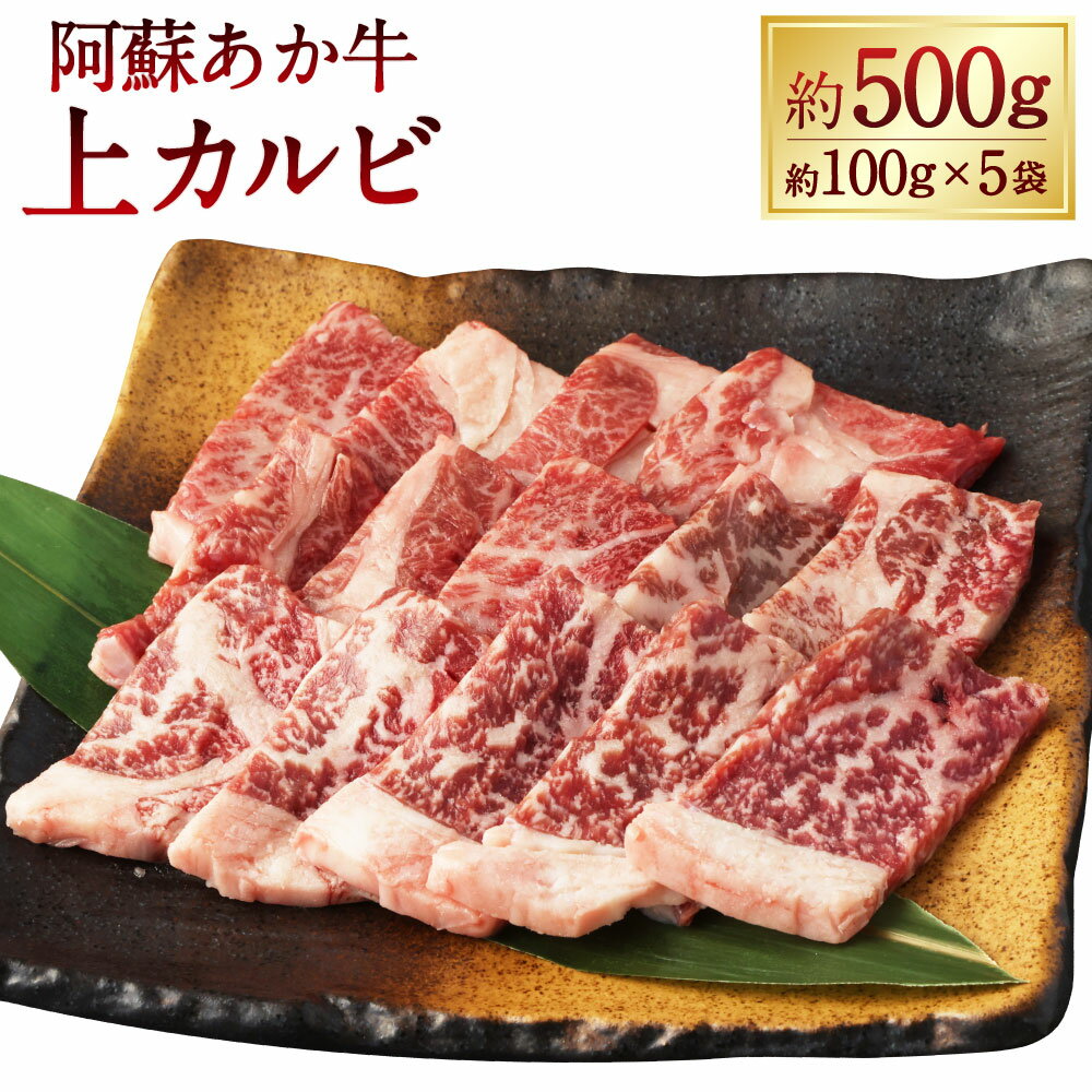 阿蘇あか牛 上カルビ 計約500g(約100g×5袋) 牛肉 お肉 赤身 霜降り 煮込み料理 焼き肉 すき焼き プレゼント 贈り物 冷凍 熊本県産 国産 熊本県 湯前町 送料無料