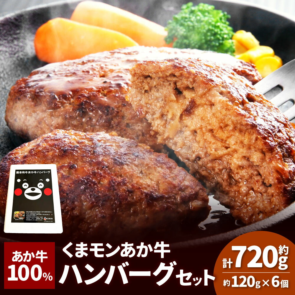 くまモンあか牛ハンバーグセット 計720g(120g×6個) 和牛 牛肉 お肉 あか牛100% 褐毛和種 惣菜 冷凍 熊本県産 国産 九州 熊本県 湯前町 送料無料