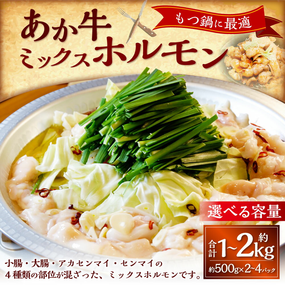 【ふるさと納税】＜選べる内容量＞あか牛ミックスホルモン 計1kg（500g×2パック）・計2kg（500g×4パック） 4種類 牛肉臓 小腸 大腸 センマイ 赤センマイ アカセンマイ 牛肉 褐毛和種 もつ鍋 冷凍 熊本県産 国産 九州 熊本県 湯前町 送料無料