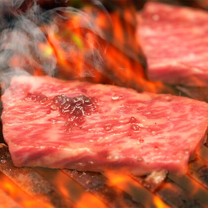 肥後のあか牛 焼肉用 500g 熊本県産 和牛スライス 焼き肉 赤牛 牛 牛肉 お肉 肉 九州産 国産 冷凍 送料無料