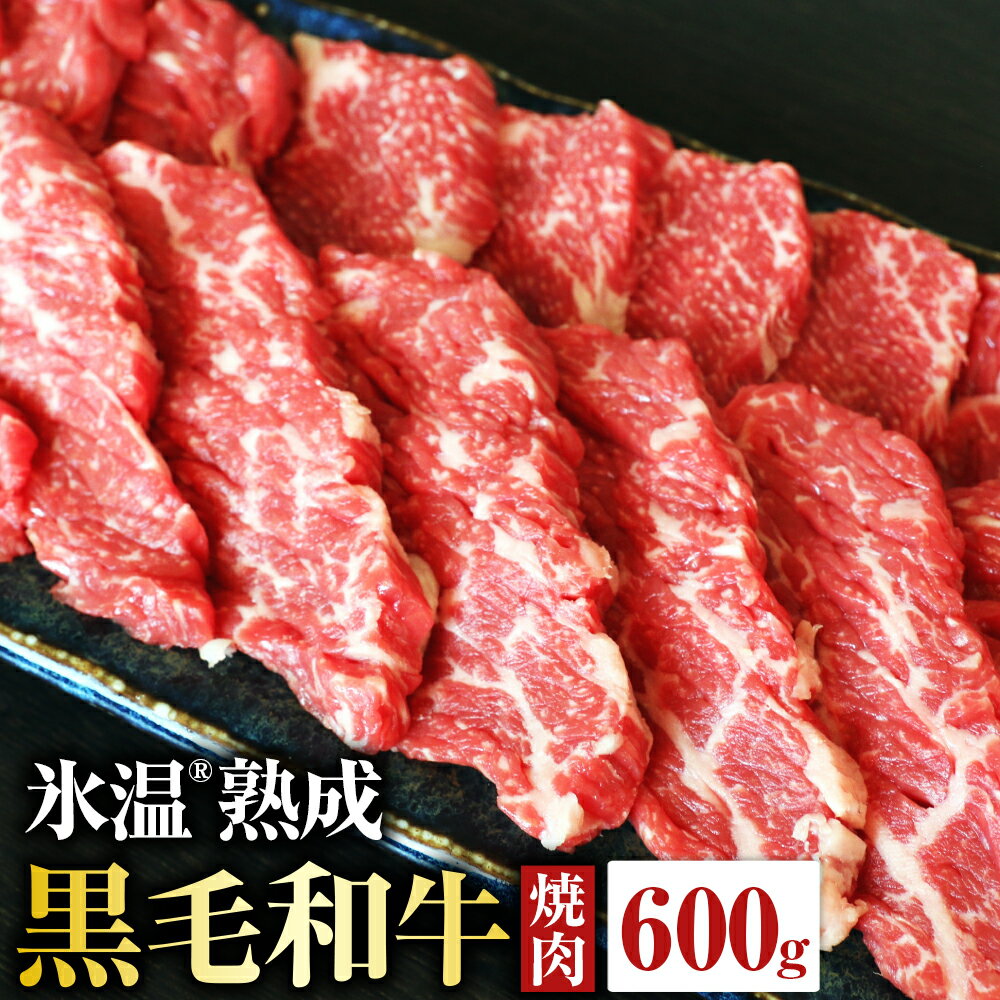 【ふるさと納税】氷温(R)熟成 黒毛和牛 焼肉 600g 牛肉 和牛 セット 熊本県産 九州産 国産 BBQ 焼き肉 熟成肉 冷凍 送料無料