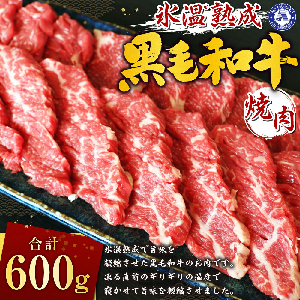 【ふるさと納税】氷温(R)熟成 黒毛和牛 焼肉 600g 牛肉 和牛 セット 熊本県産 九州産 国産 BBQ 焼き肉 熟成肉 冷凍 送料無料