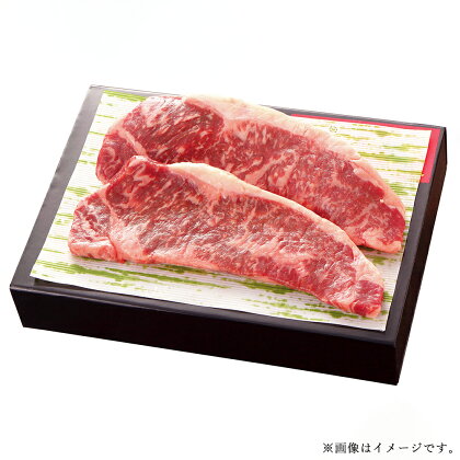くまもとあか牛サーロインステーキ 約250g×2枚 合計約500g 和牛 牛肉 肉 あか牛 ステーキ 精肉 熊本県産 九州産 国産 冷凍 送料無料