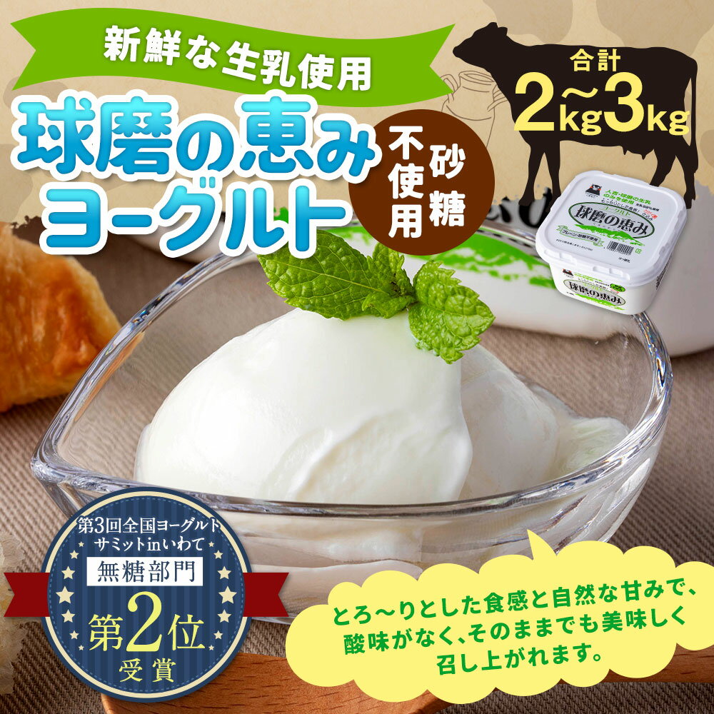 【ふるさと納税】【選べる容量】球磨の恵みヨーグルト（砂糖不使用）合計 約2kg 約1kg×2パック 合計3kg 1kg×3パック 乳製品 生乳 無糖 プレーン 朝食 スイーツ おやつ 熊本県産 九州産 国産 冷蔵 送料無料