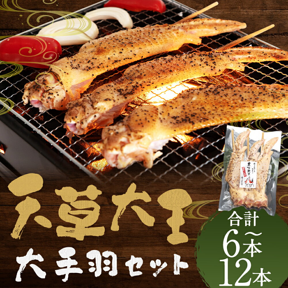 【ふるさと納税】＜選べる容量＞熊本 天草大王 大手羽6本 （3本×2） 9本 （3本×3） 12本 （3本×4） お肉 肉 鶏肉 とりにく 地鶏 雌 手羽 塩コショウ付き バーベキュー キャンプ 肉厚 幻 冷凍 熊本県 水上村 送料無料