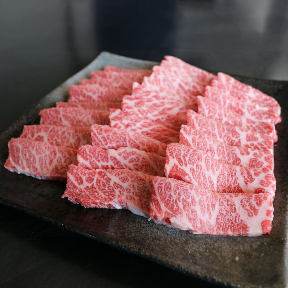 G21Q 厳選されたGI認証 くまもとあか牛 特選 焼肉用 約500g お肉 肉 牛肉 国産牛 和牛 ブランド牛 カット済 ホームパーティー バーベキュー BBQ 冷凍 熊本県 水上村 送料無料