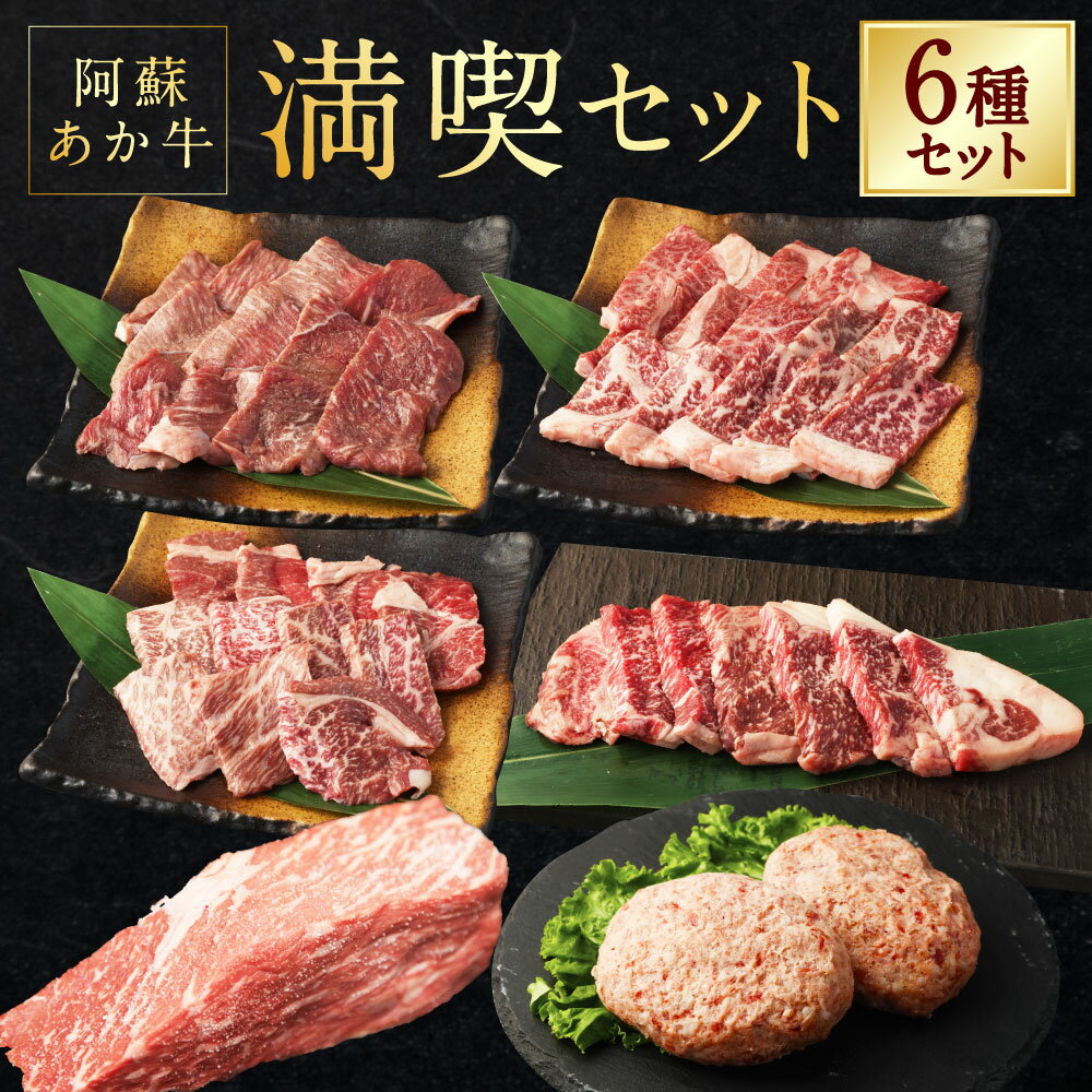 阿蘇あか牛満喫セット(モモ×1・上カルビ×1・上ロース×1・サーロイン×1・ハンバーグ×2・丼×1) 6種 計7個 お肉 牛肉 あか牛 赤身 霜降り ローストビーフ さしみ醤油 焼肉 煮込み料理 詰め合わせ 冷凍 熊本県産 国産 九州 熊本県 水上村 送料無料