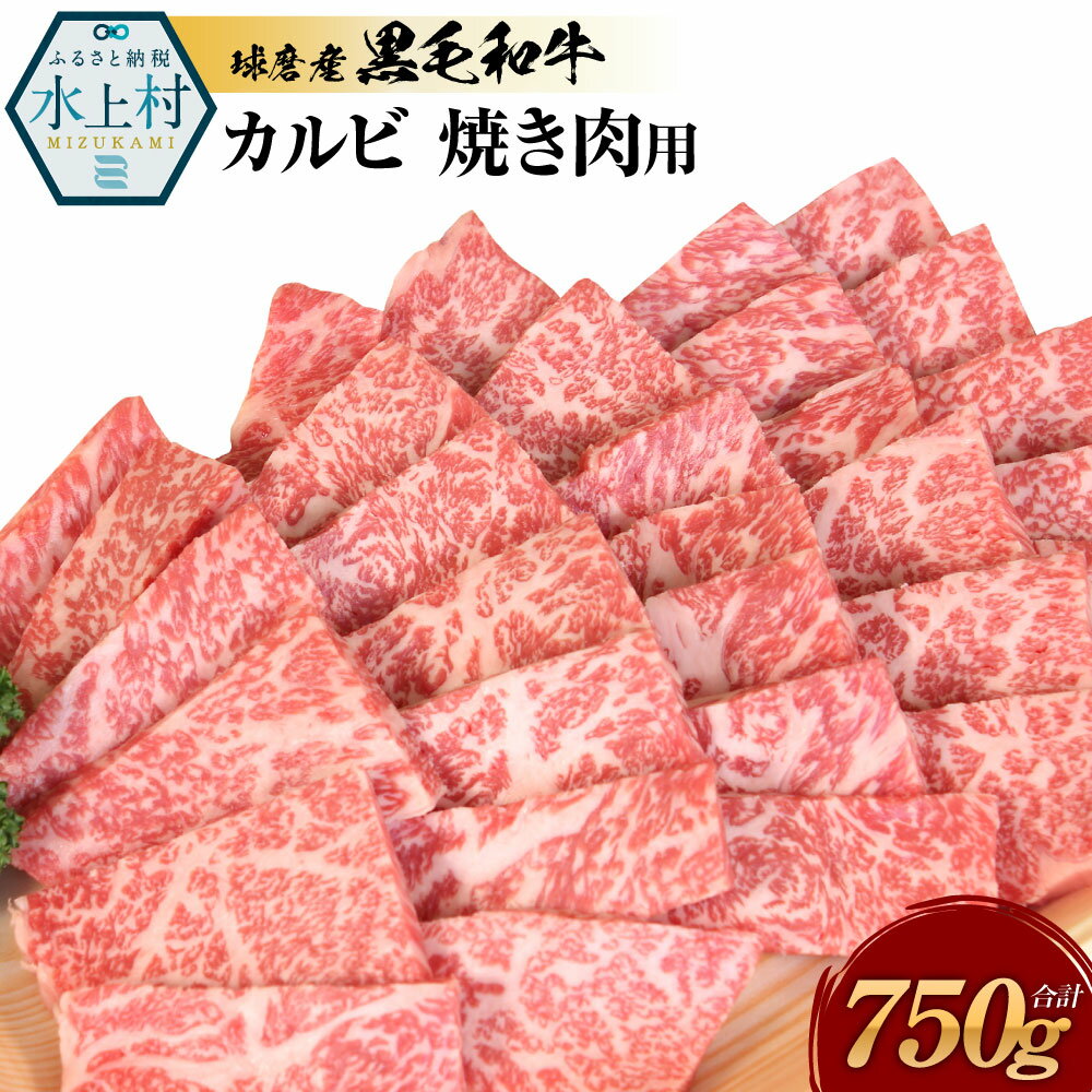 【ふるさと納税】球磨産黒毛和牛 カルビ焼き肉用 合計750g 3種類 カルビ( 前バラ かいの身 友バラ肉 )...