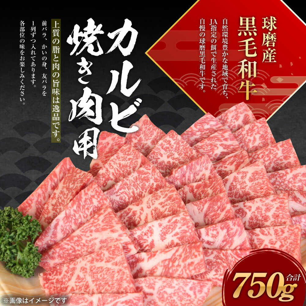 熊本県水上村の画像2