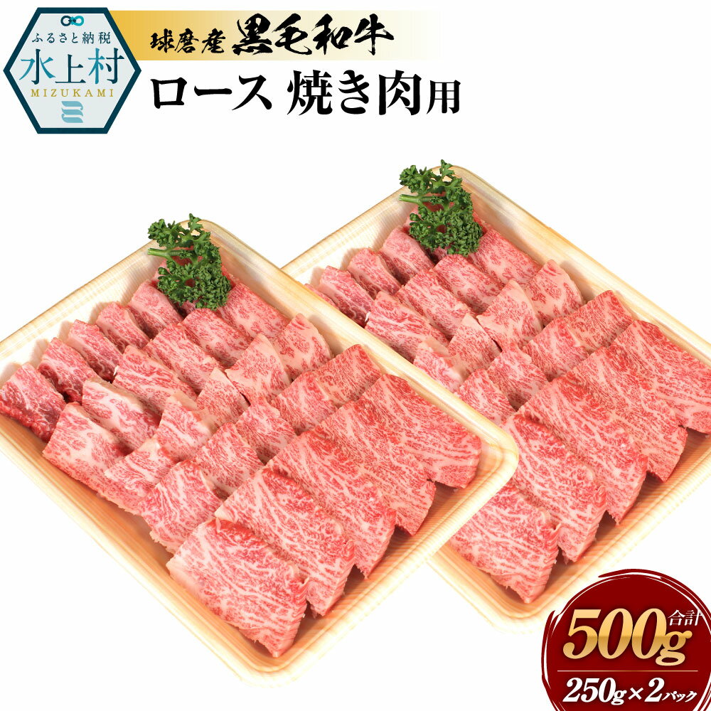 球磨産黒毛和牛 ロース焼き肉用 合計500g (250g×2パック) 黒毛和牛 和牛 ロース お肉 牛肉 スライス 焼肉用 焼肉 焼き肉 バーベキュー BBQ 国産 熊本県産 冷凍 送料無料