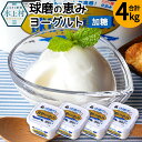 25位! 口コミ数「1件」評価「5」球磨の恵みヨーグルト（加糖）合計4kg 1kg×4パック 乳製品 生乳 朝食 スイーツ おやつ 熊本県産 九州産 国産 冷蔵 送料無料