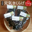 【ふるさと納税】家庭用 乾燥きくらげ 合計250g 50g×5袋 元気きくらげ きくらげ キクラゲ 木耳 乾燥 干し 国産 九州産 熊本県産 送料無料