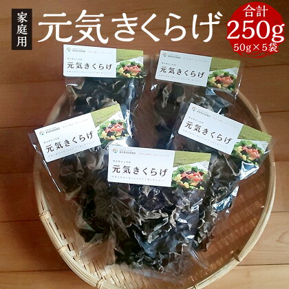 家庭用 乾燥きくらげ 合計250g 50g×5袋 元気きくらげ きくらげ キクラゲ 木耳 乾燥 干し 国産 九州産 熊本県産 送料無料