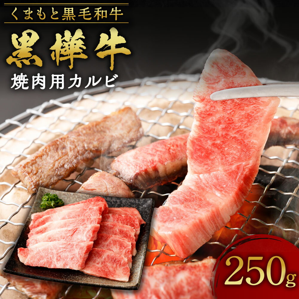 【ふるさと納税】くまもと黒毛和牛 黒樺牛 A4~A5等級 焼肉用カルビ 合計250g 牛肉 和牛 お肉 黒毛和牛 カルビ 焼肉 BBQ 国産 九州産 熊本県産 冷凍 送料無料