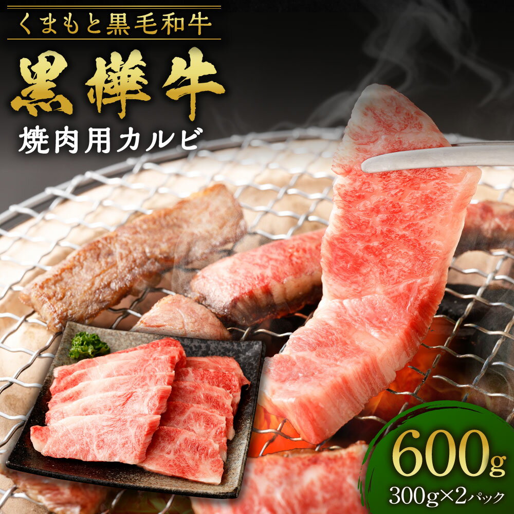 史上初内閣総理大臣賞３連覇 日本一 1kg カルビ 冷凍 国産牛 宮崎牛 焼肉 送料無料 【即納】 宮崎牛