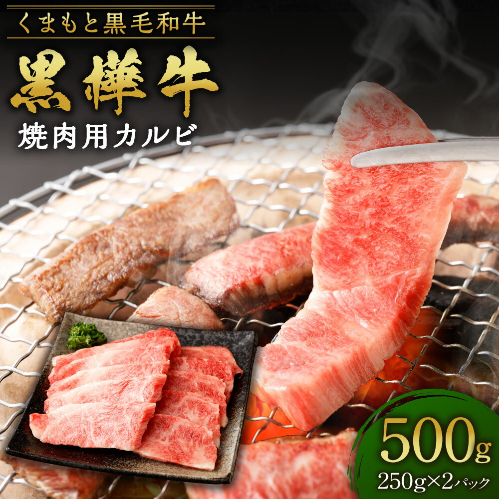 くまもと黒毛和牛 黒樺牛 A4~A5等級 焼肉用カルビ 合計500g (250g×2パック) 牛肉 和牛 お肉 黒毛和牛 カルビ 焼肉 BBQ 国産 九州産 熊本県産 冷凍 送料無料